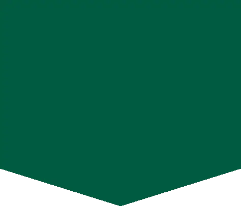 logo-shape